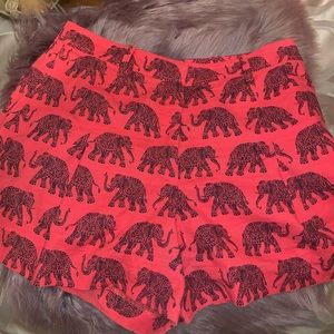 J crew elephant shorts, great condition